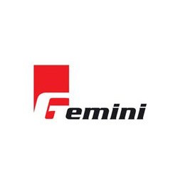 gemini-tsaramiadis-logos-moto